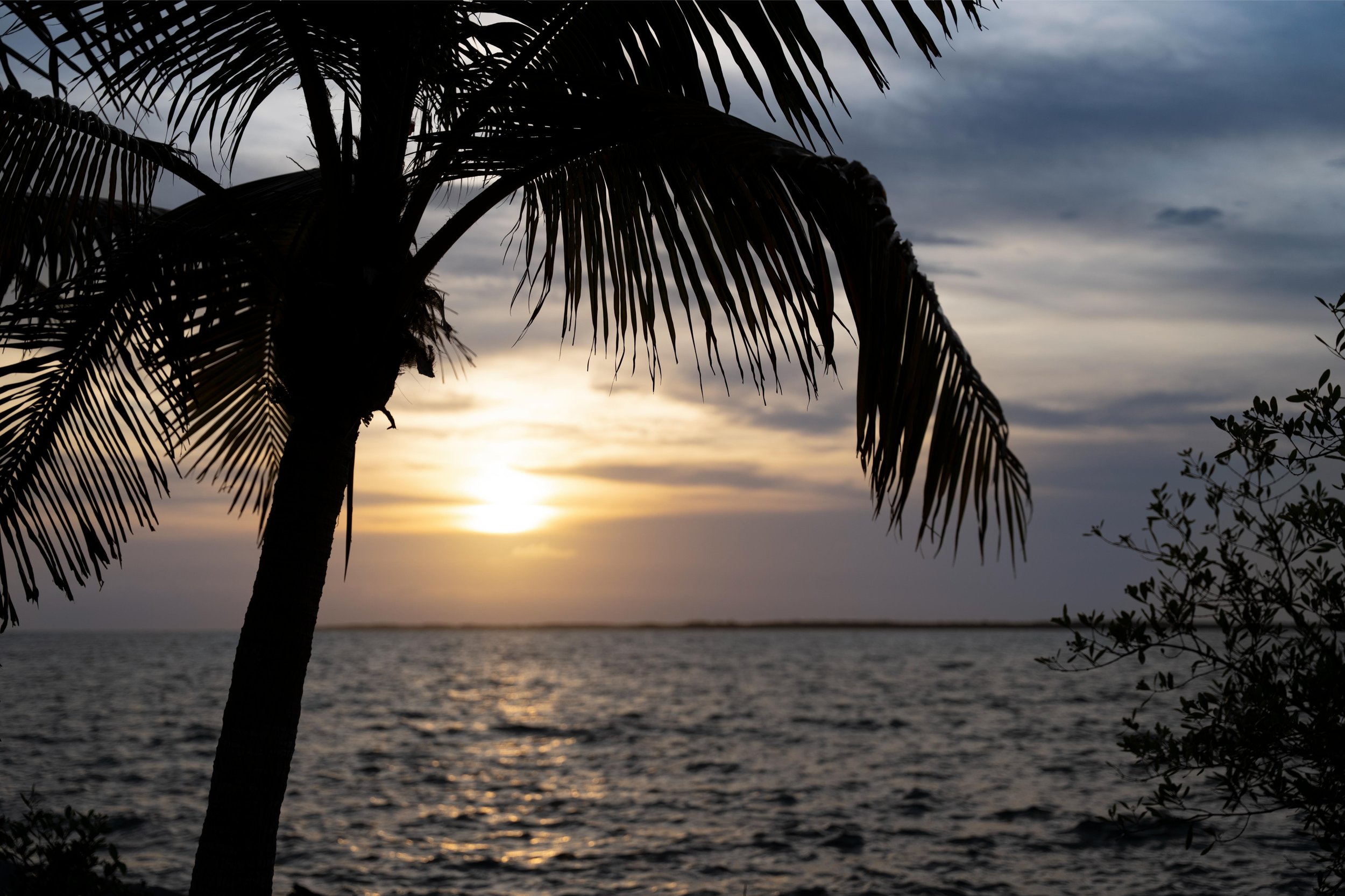 AspenCierraPhotography_ThatchCaye-1.jpg