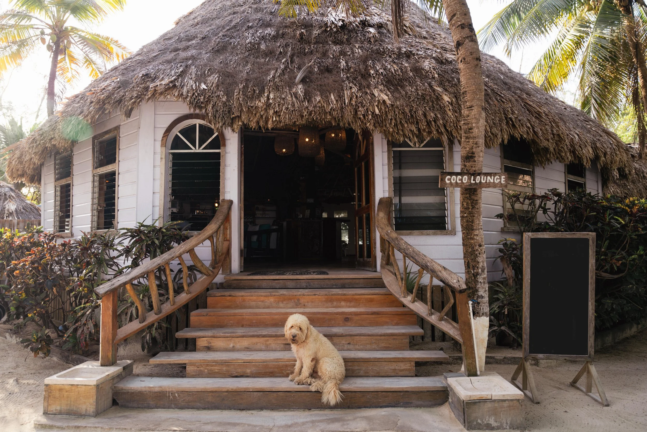 AspenCierraPhotography_ThatchCaye-5.jpg