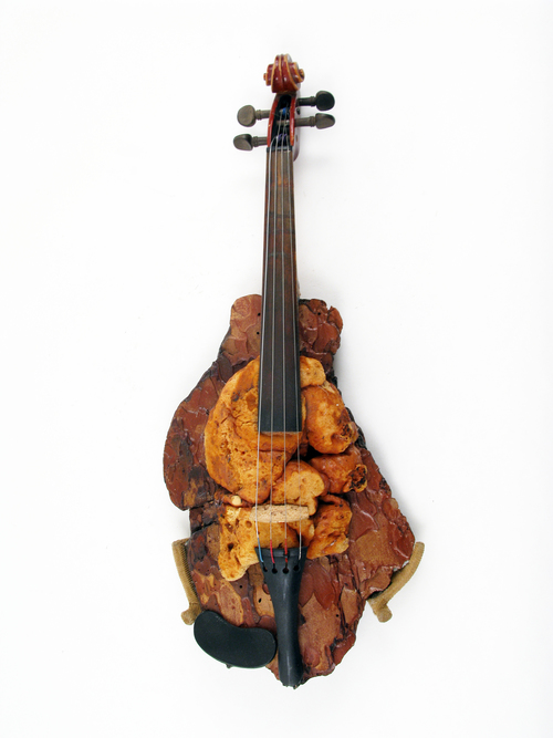 Ken Butler, Drift wood Foam Violin