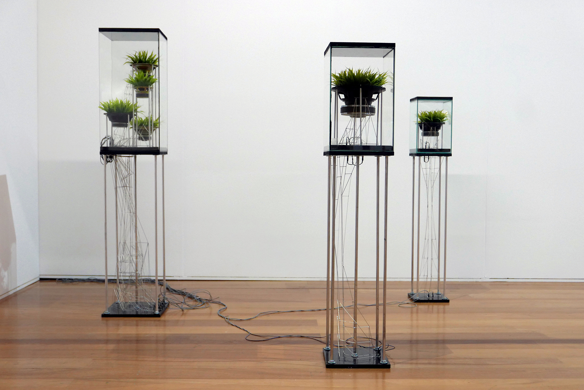 Jochem Esser, MC.315 (Mono Culture), 2016