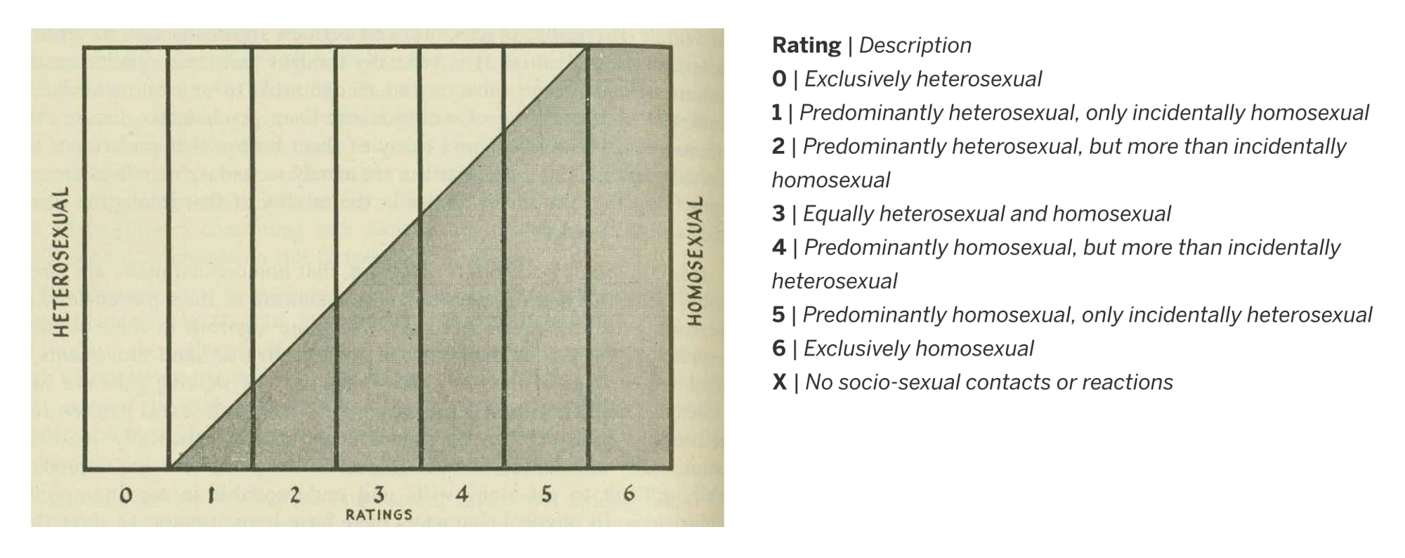 The Kinsey Scale