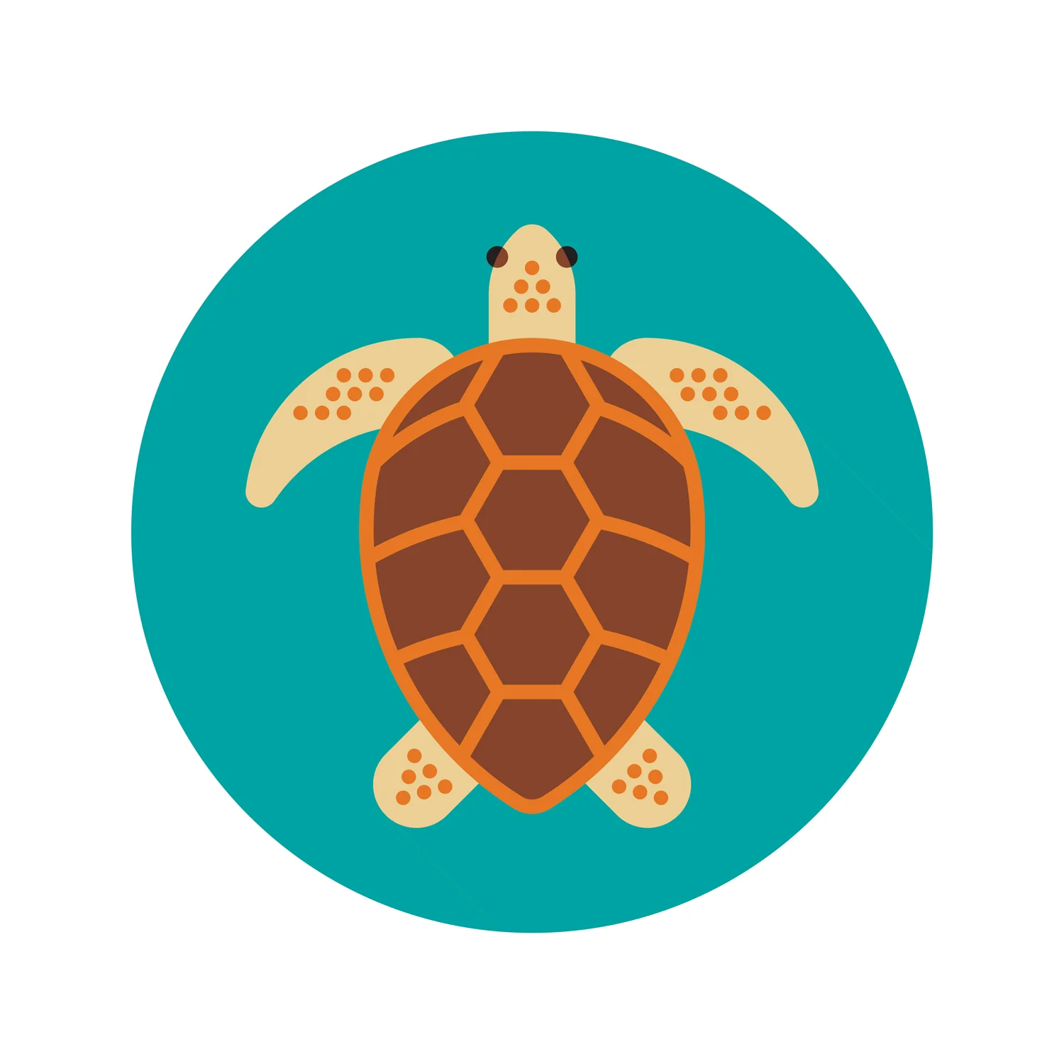Sea-Turtle-1500px-RF.jpg