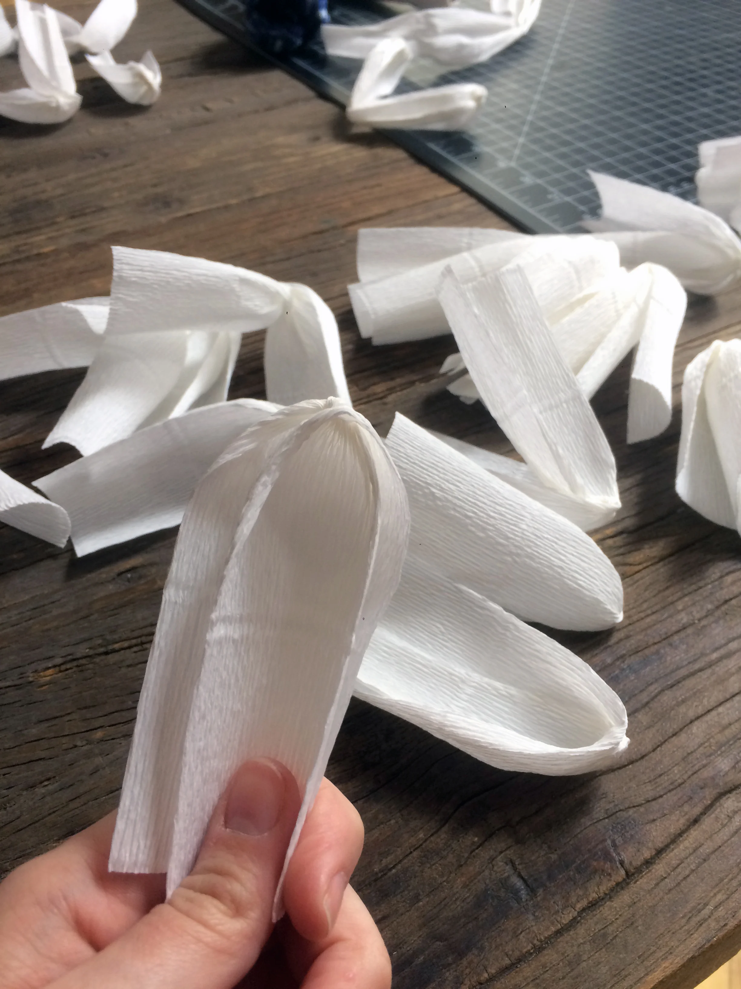 Petals made from crepe paper