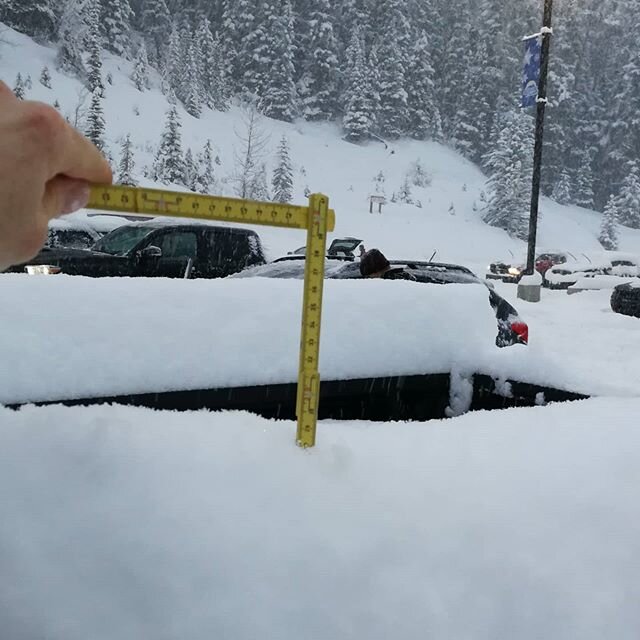 26cm in the @sunshinevillage parking lot during the day. On top of 12ish overnight. On top of previous storm snow. Snowing hard when we left. What are you doing tomorrow?