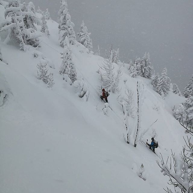 Did we walk all the way to the Kootenays today? #stormskiing