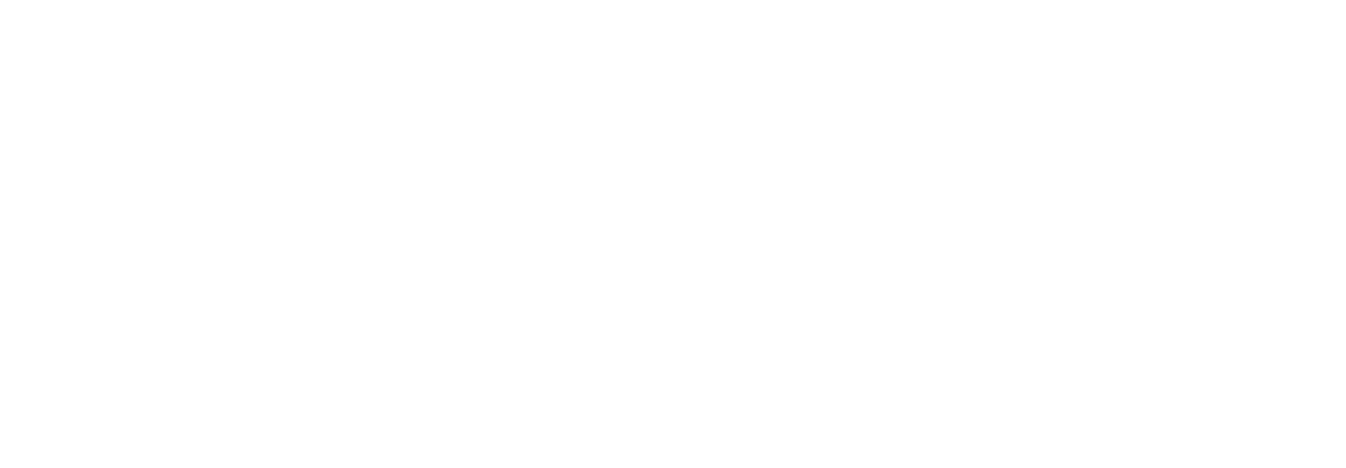 NATURAL MUSIC INSTITUTE