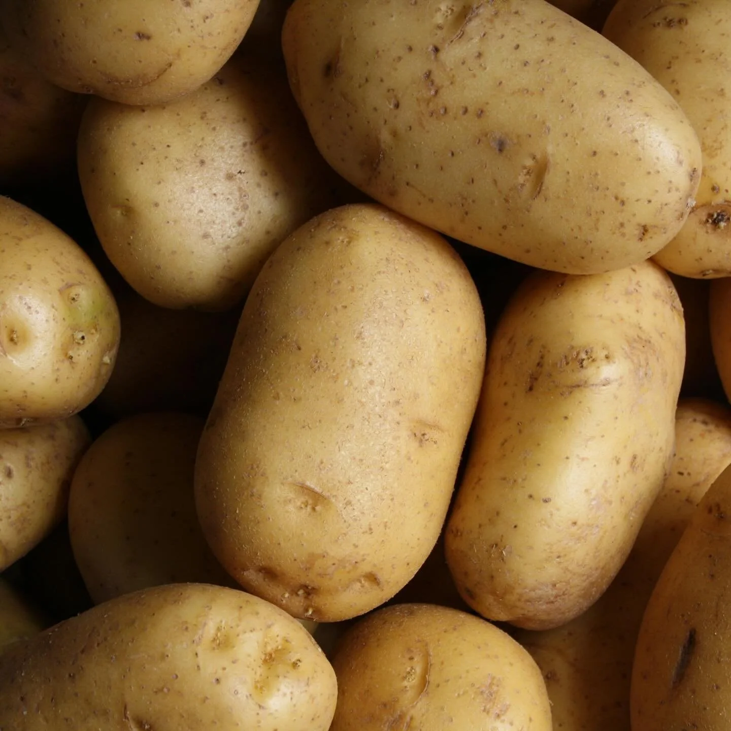 Sunday.

#mycollectivechurch
#forfrederick
#downtownfrederick
#frederickmd