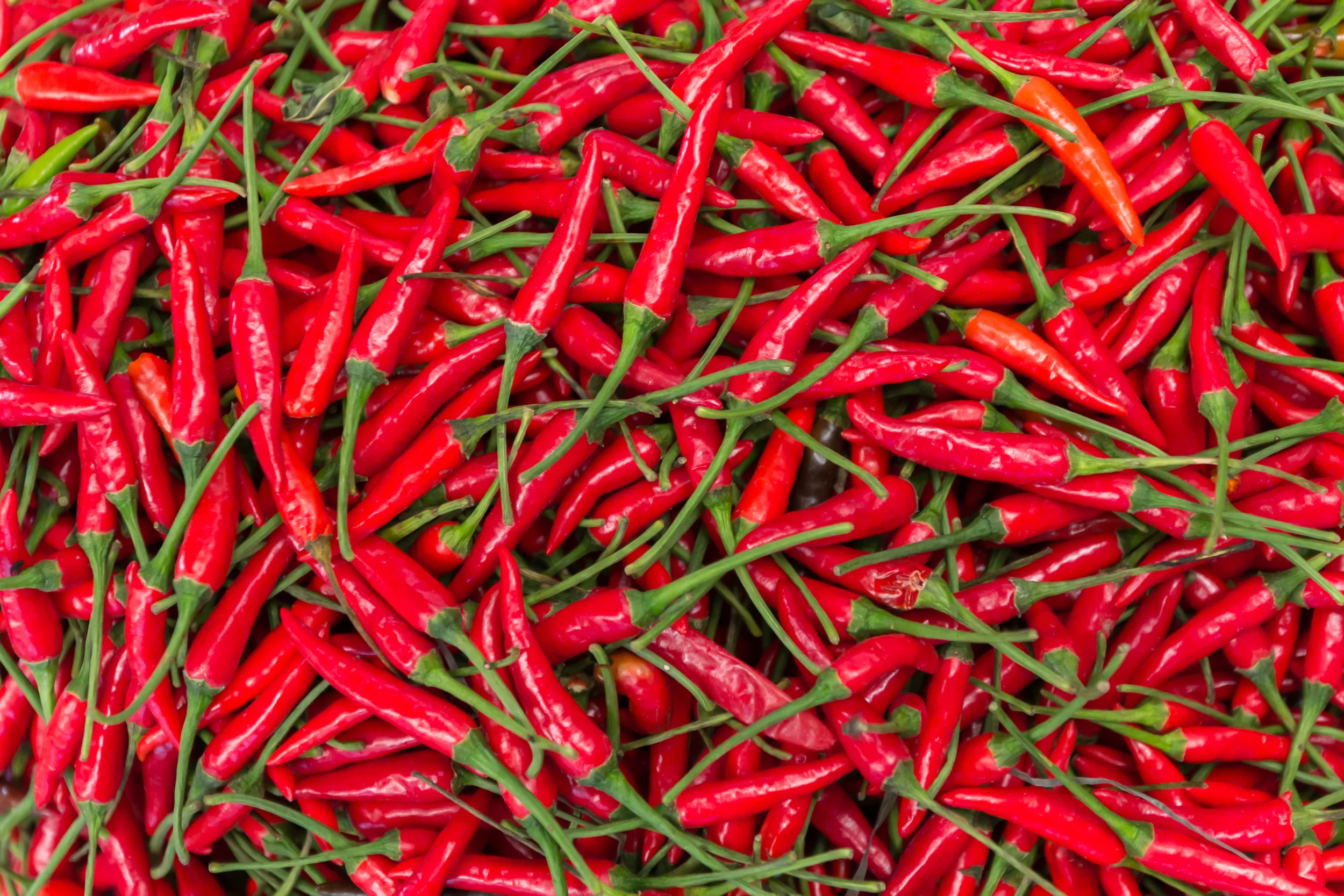 peppers_thaichilies_135634316.jpg
