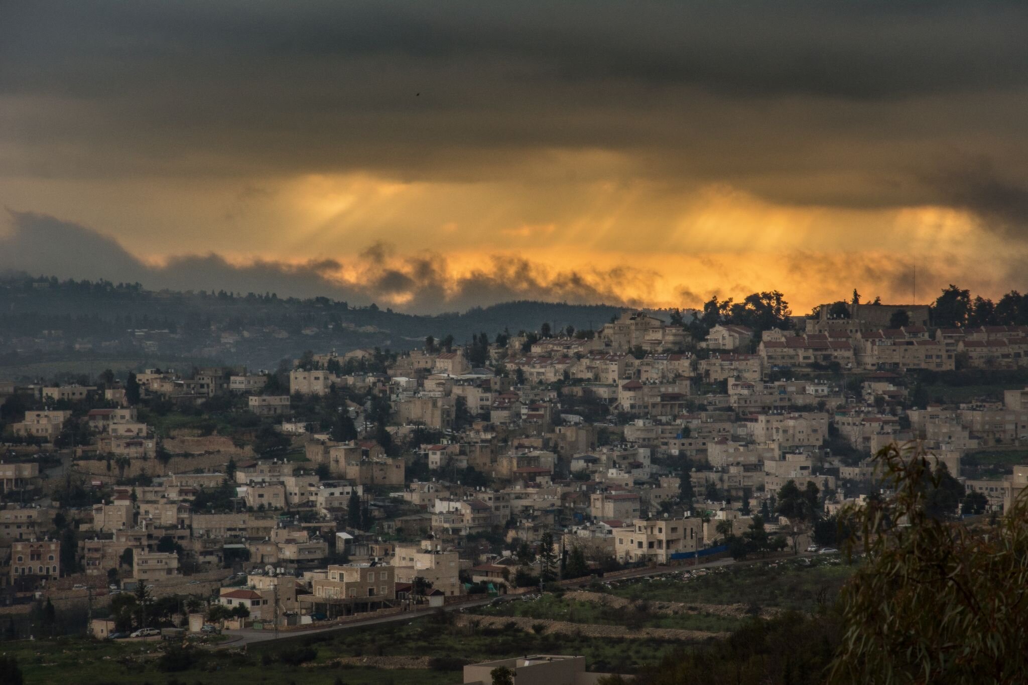 "Abu Ghosh," 2015 Elad Matityahu