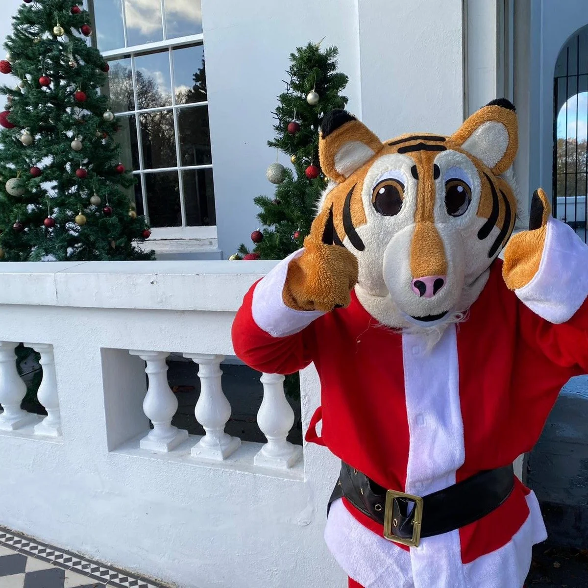 🤩 We are looking forward to seeing our Try Timers this weekend for our last sessions of the term🎄🎅

🏉 We'll be back from 11th January - don't forget to save your space 🏉

#trytime #kidsrugby