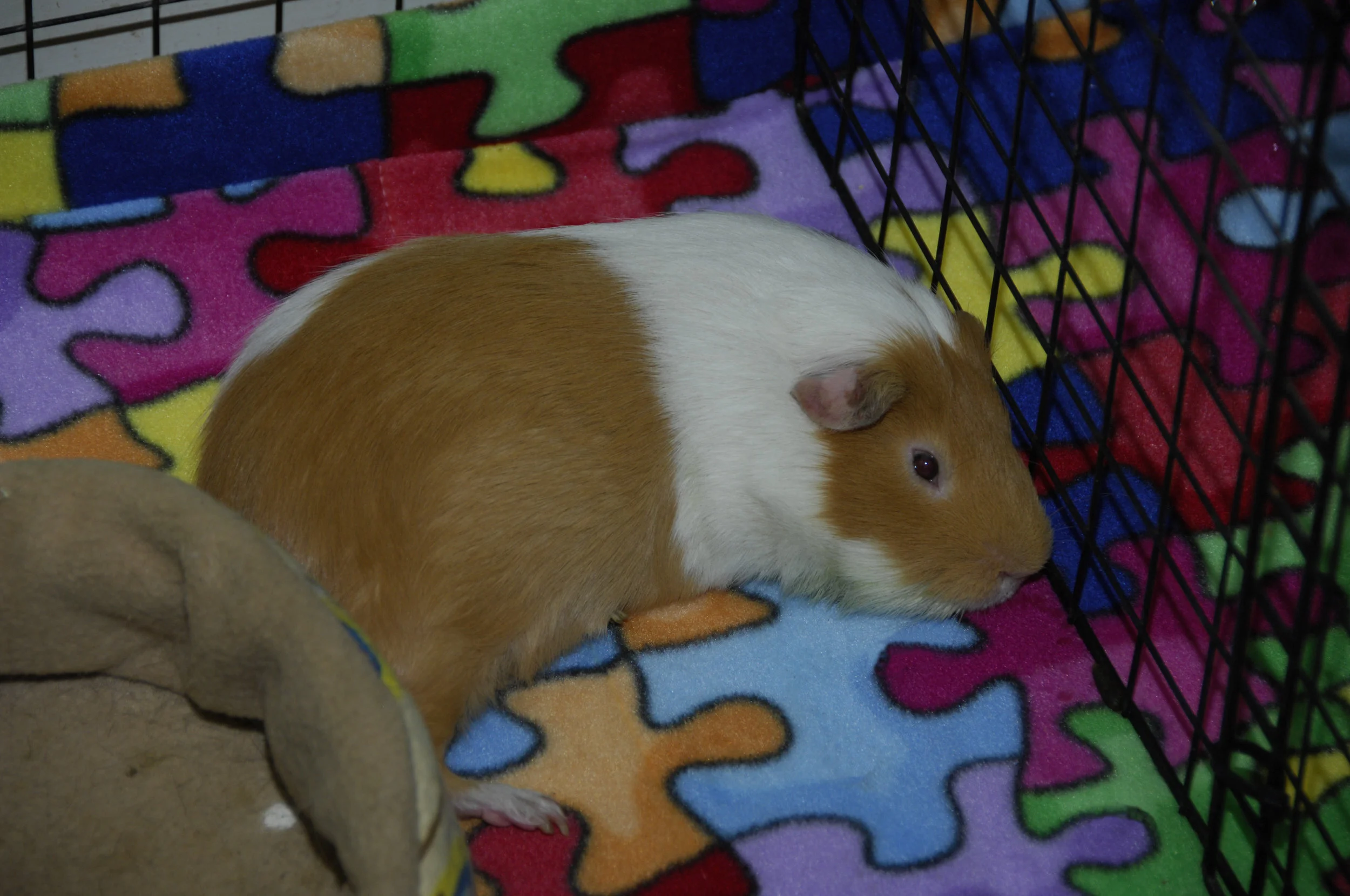 Mochi 07.jpg