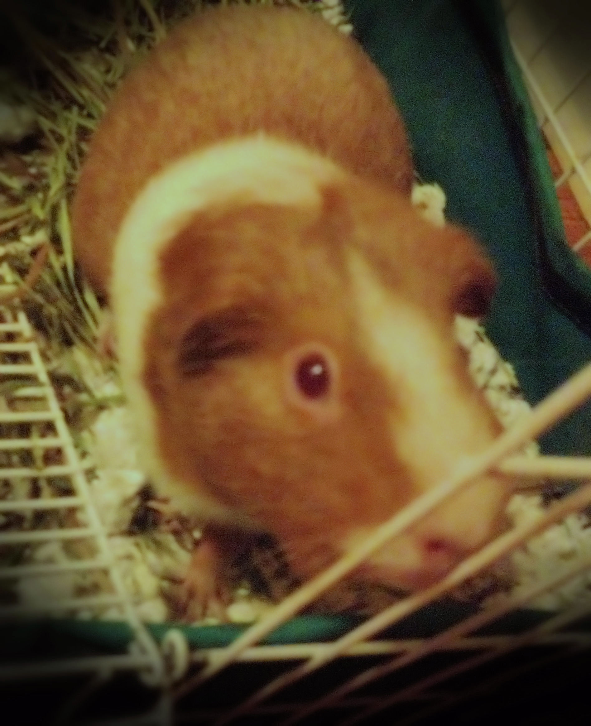 Mable 1.jpg