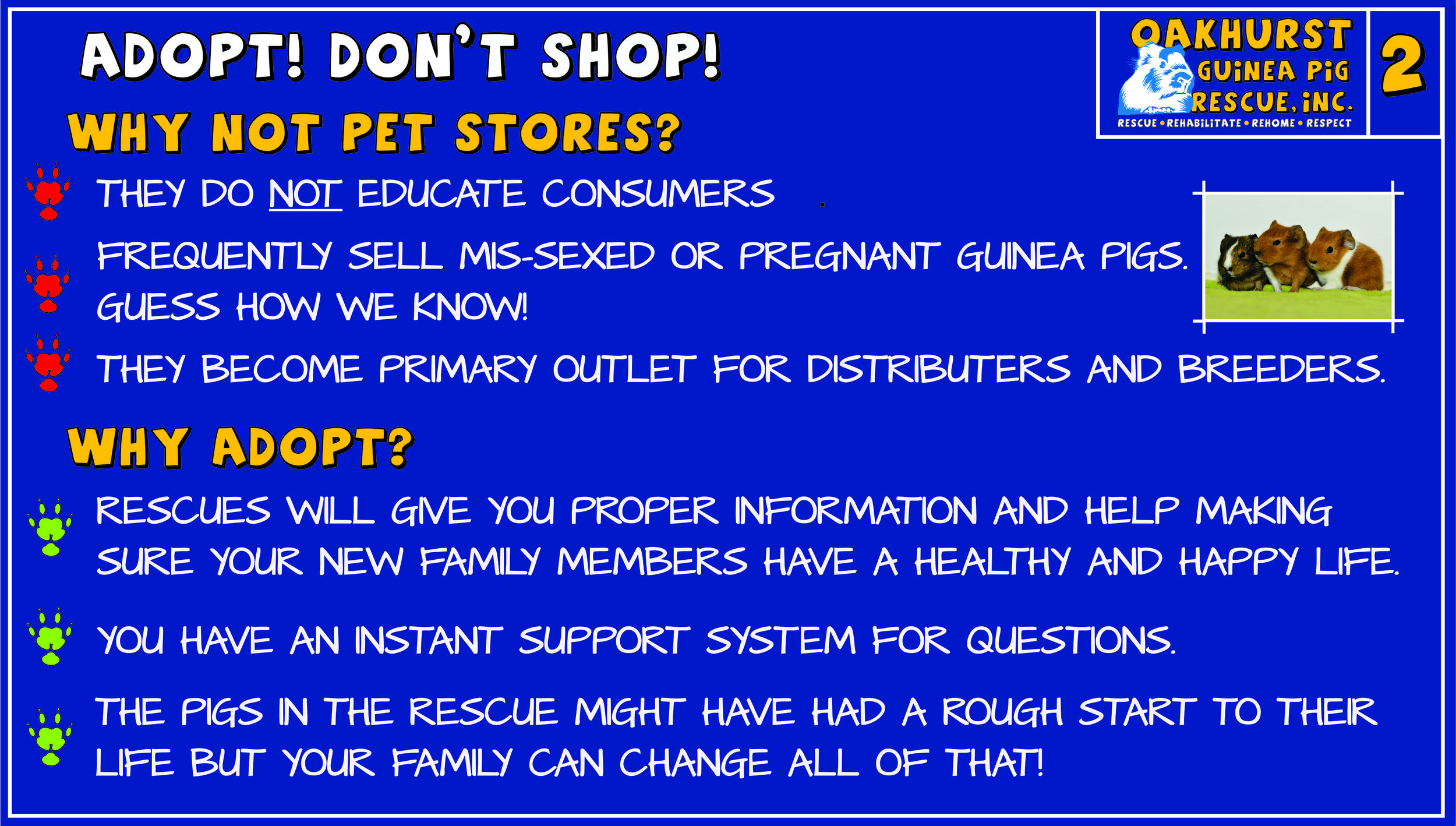 3 Adopt Don't Shop.jpg