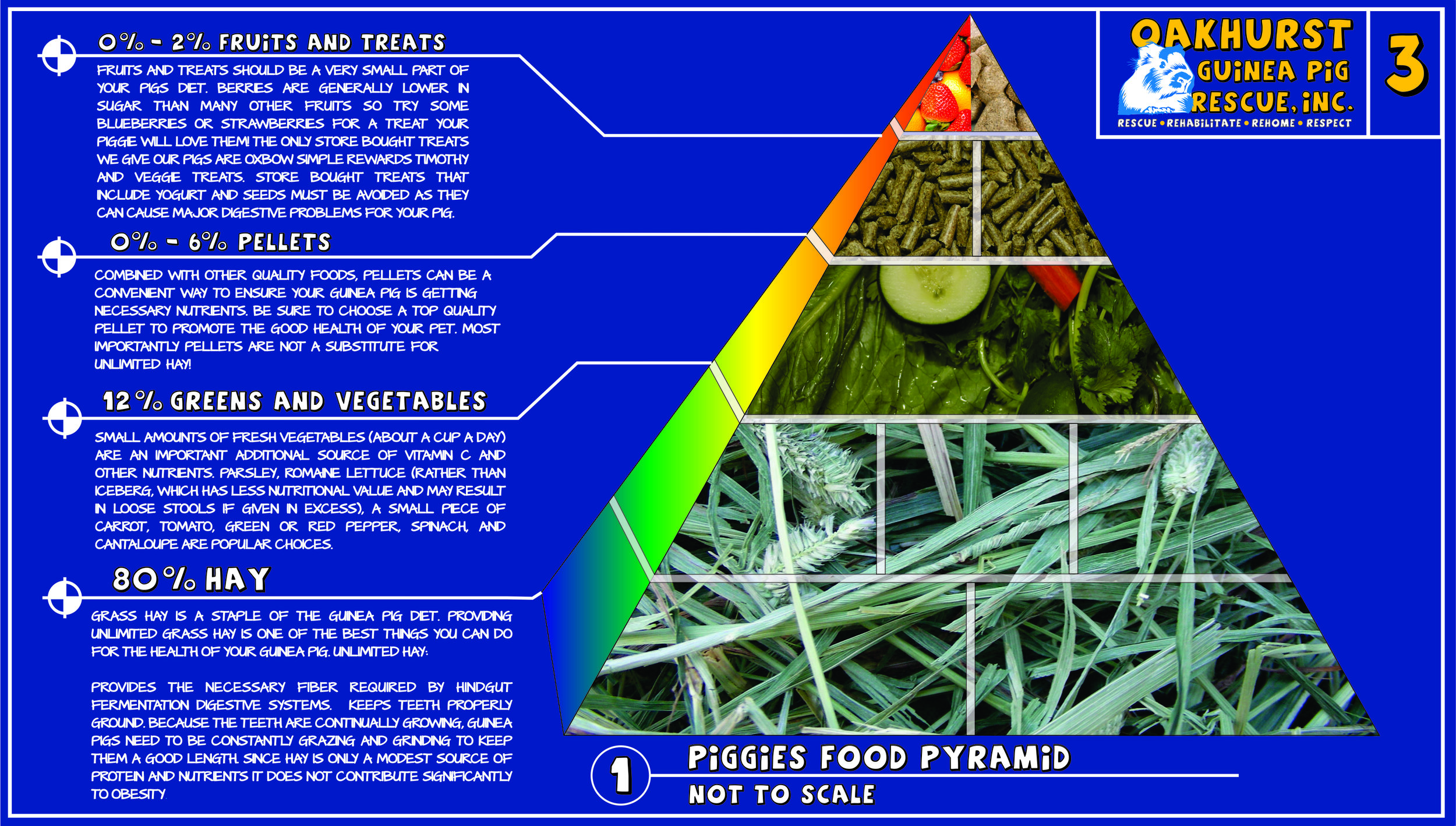 4 Food Pyramid.jpg