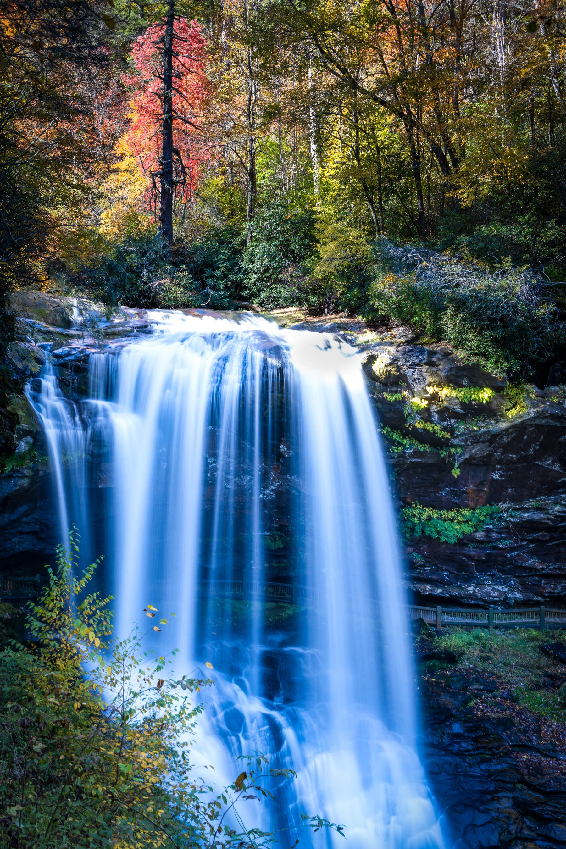 highlands_falls-2.jpg