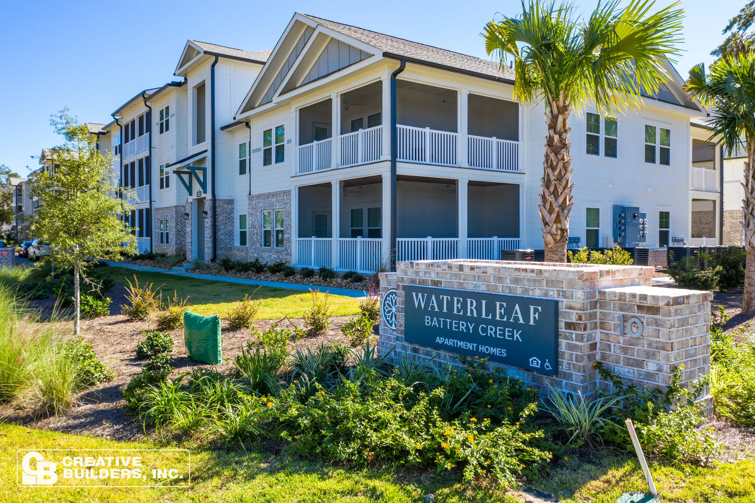 Waterleaf at Battery Creek (November, 2020)