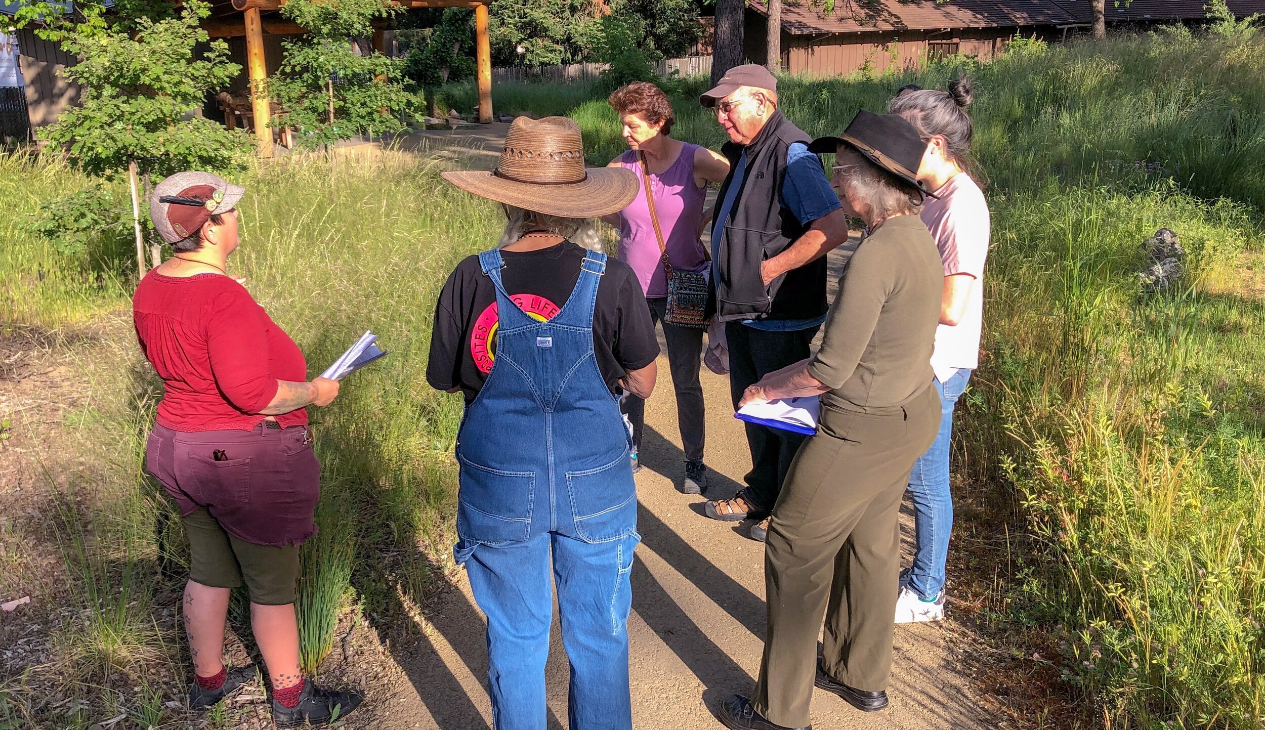 Foraging Walk 1 5-3-19 cropped.jpg