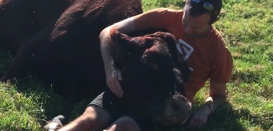 Do cows hug? Rosie and Jeremy can answer that