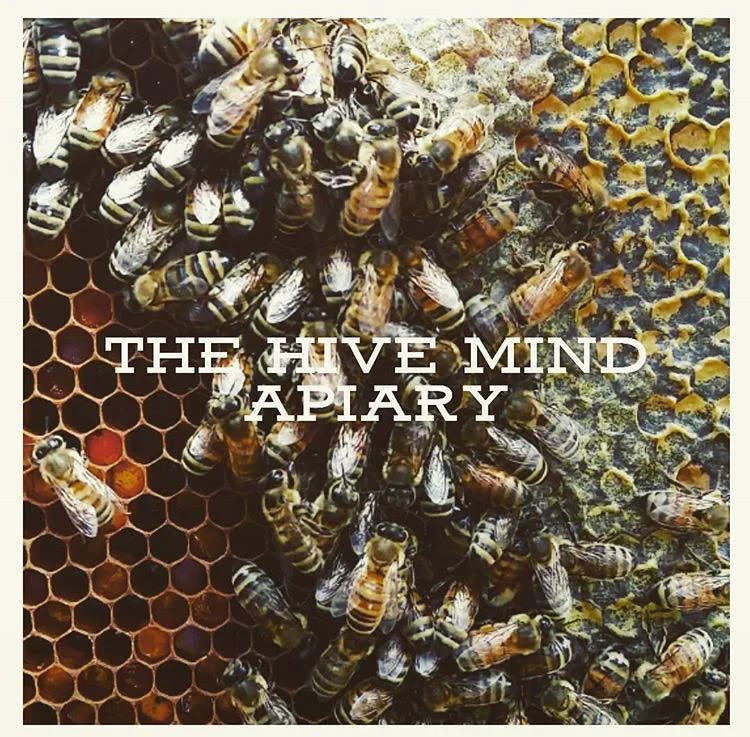 bees.jpg