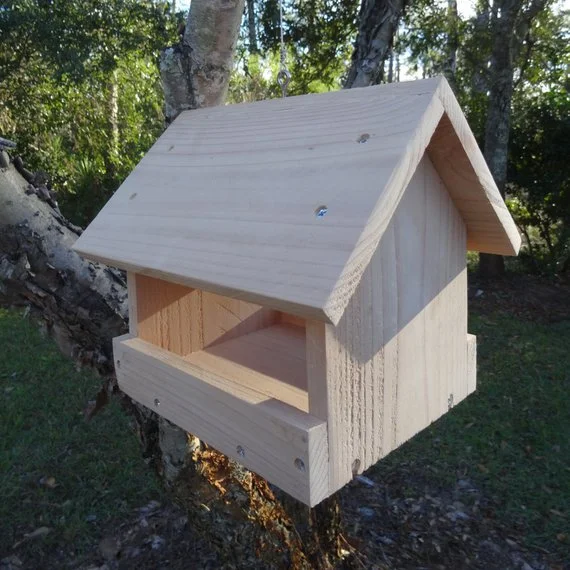 Bird Feeder Reference.jpg