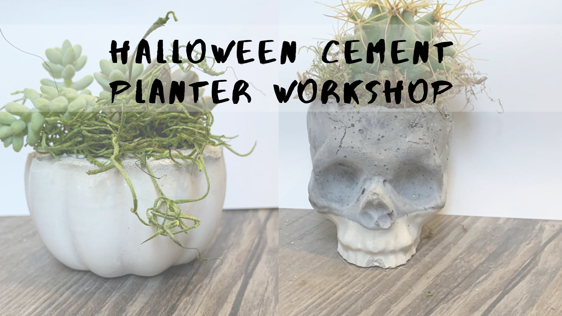 Halloween Cement Planter Workshop — ACE