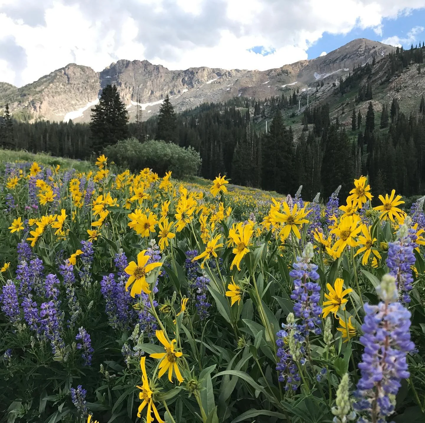 Not Just Another Summer – A summer to be mindful and benevolent