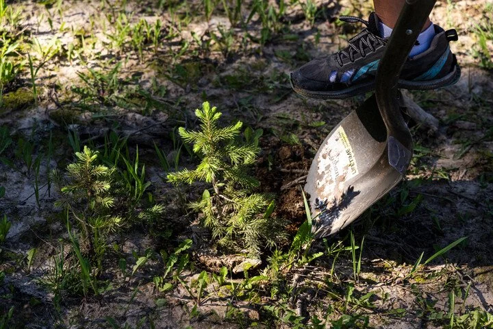Alta’s Environmental Bodyguard - The Alta Environmental Center