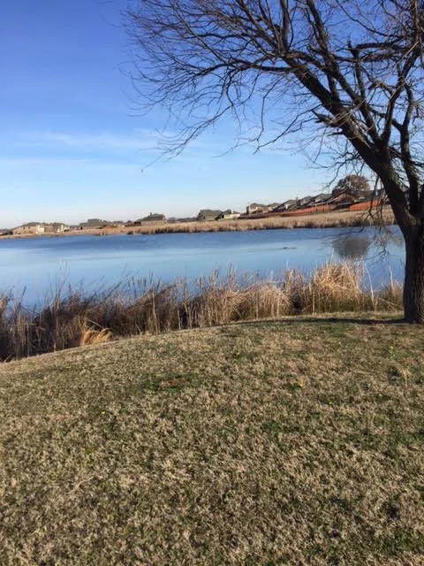 Just another view of the lake with our house in the background. It's quite brown now, but in a month everything will start turning green!