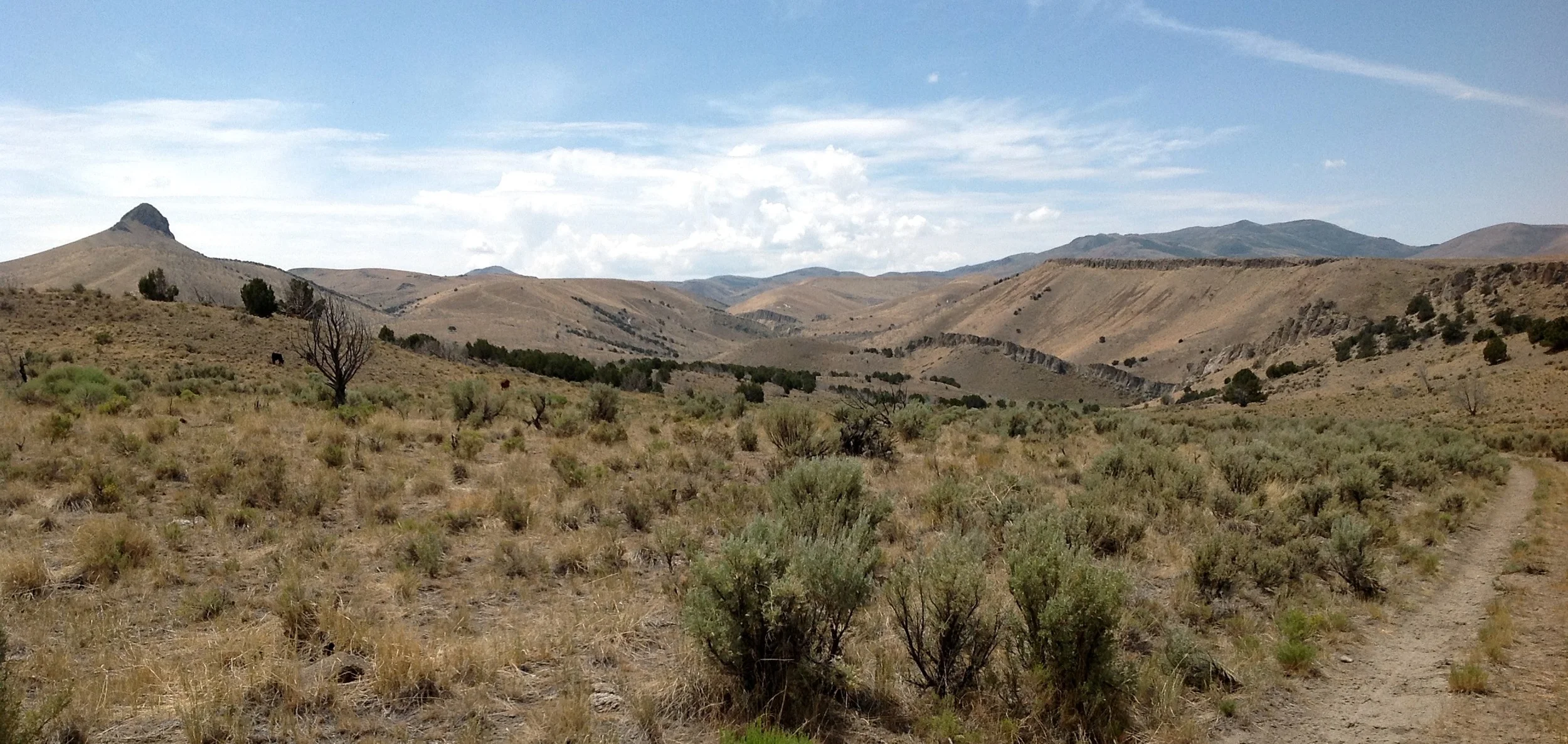 Piñon Range, Nevada