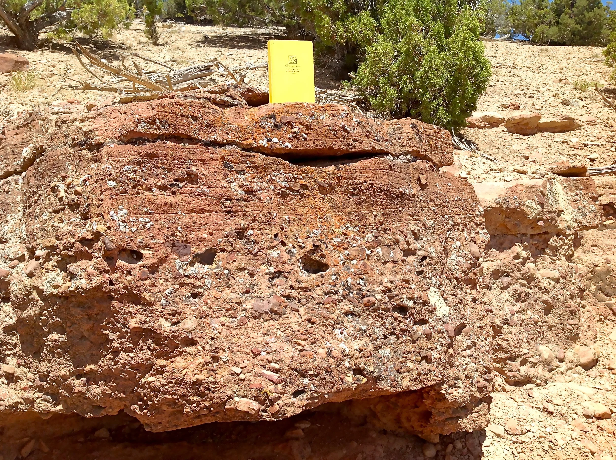 Redbeds above the basal unconformity