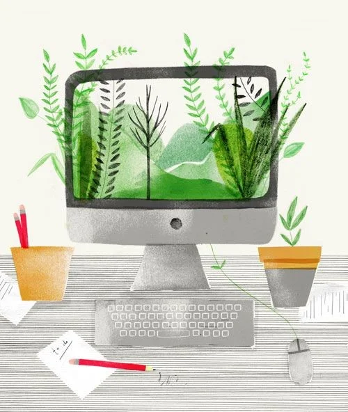 Bringing the Outdoors In: Office Plants and Why They Matter
