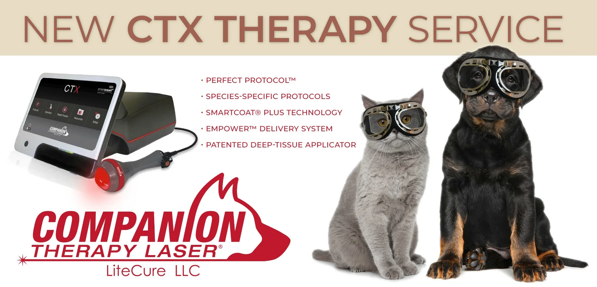 Laser Therapy.jpg