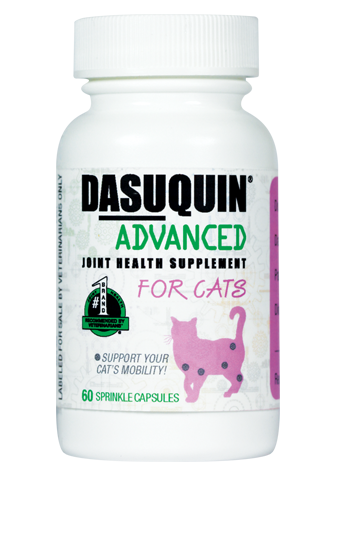 0516-das-adv-cat.png