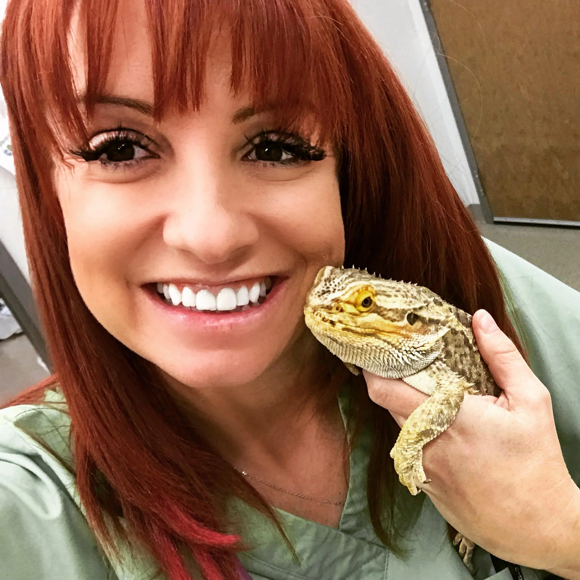 Great little bearded dragon!