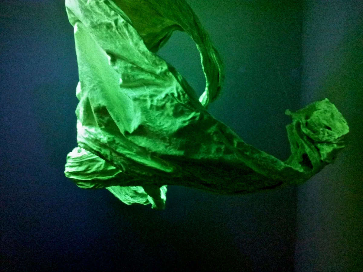 Ghost Twist (front view)