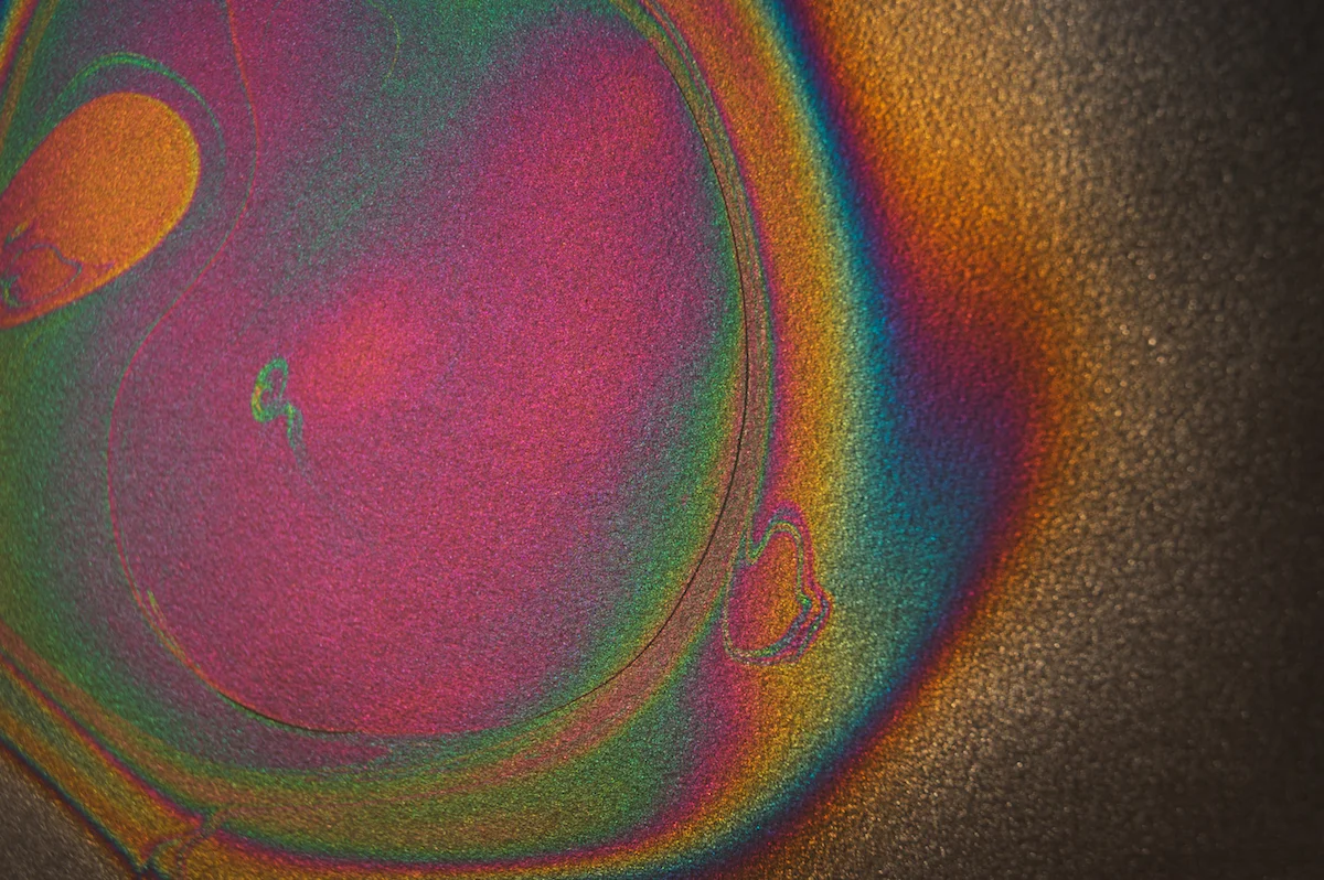 No Signal (detail)