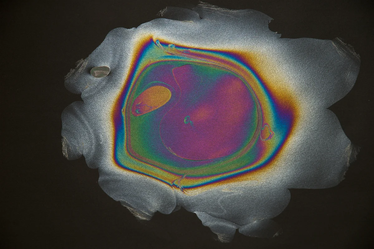 No Signal (detail)