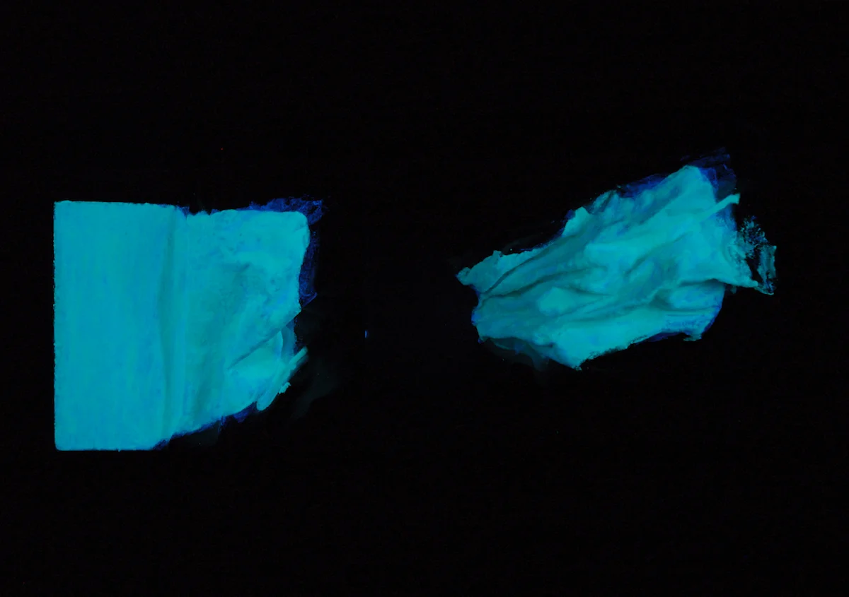 The Poet's Phosphorescence (detail)