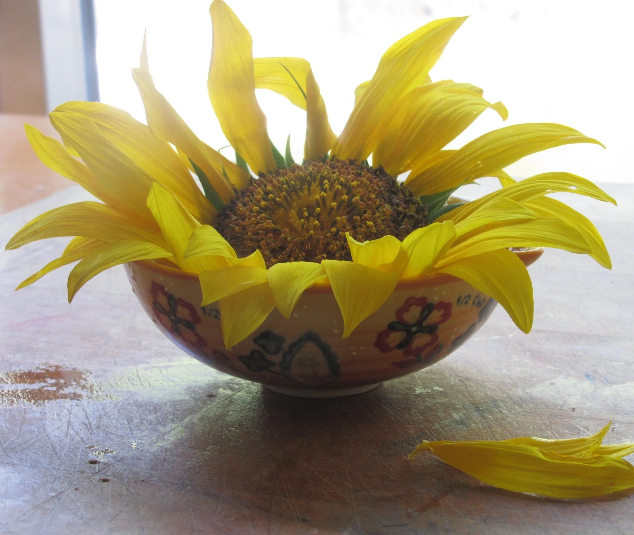 Yellow Light
