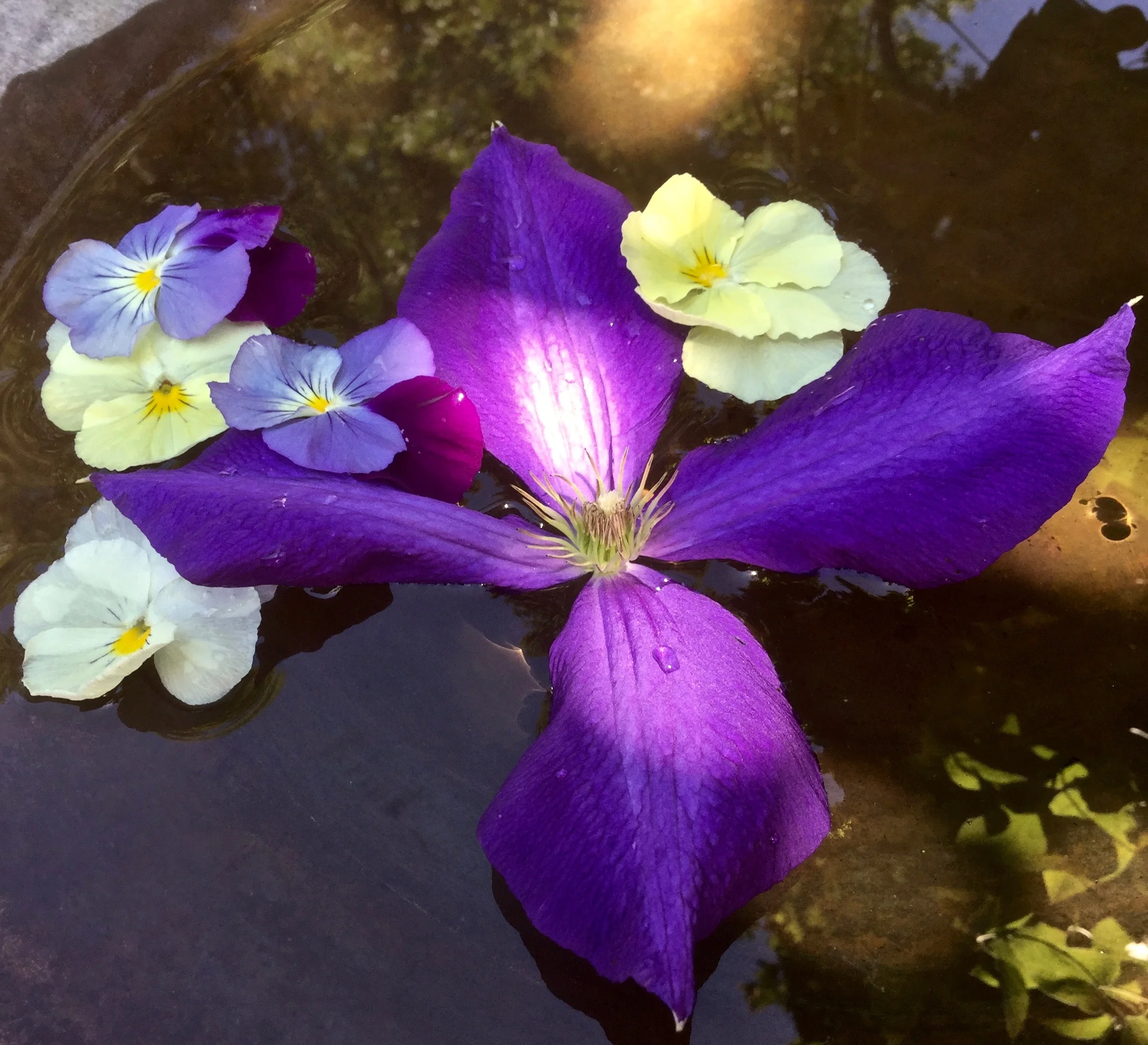 River Garden Studio