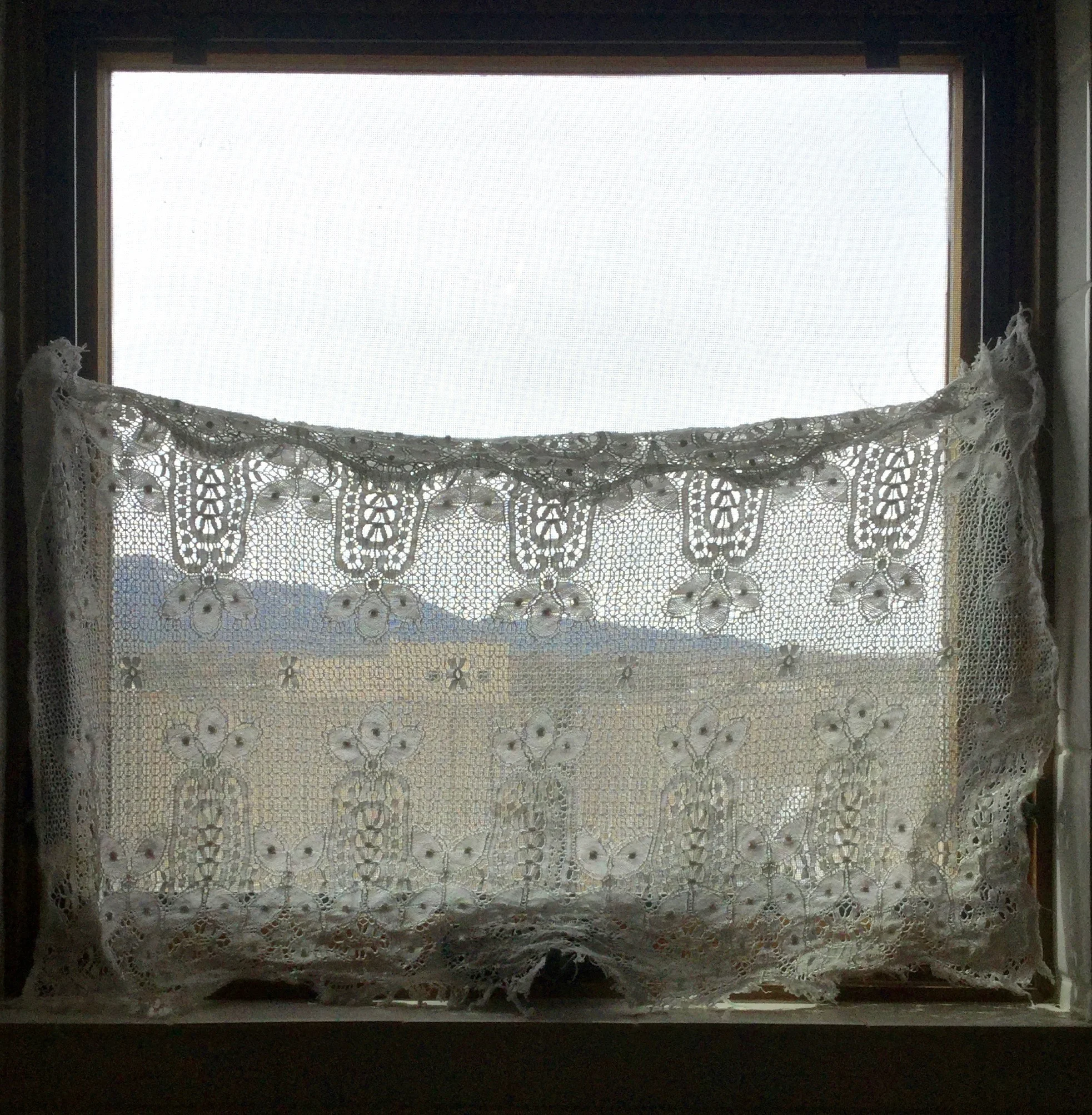 Window Light