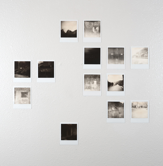 TeenaLeeRyan_2015_LeeCounty_PolaroidInstallWebResize-1.jpg