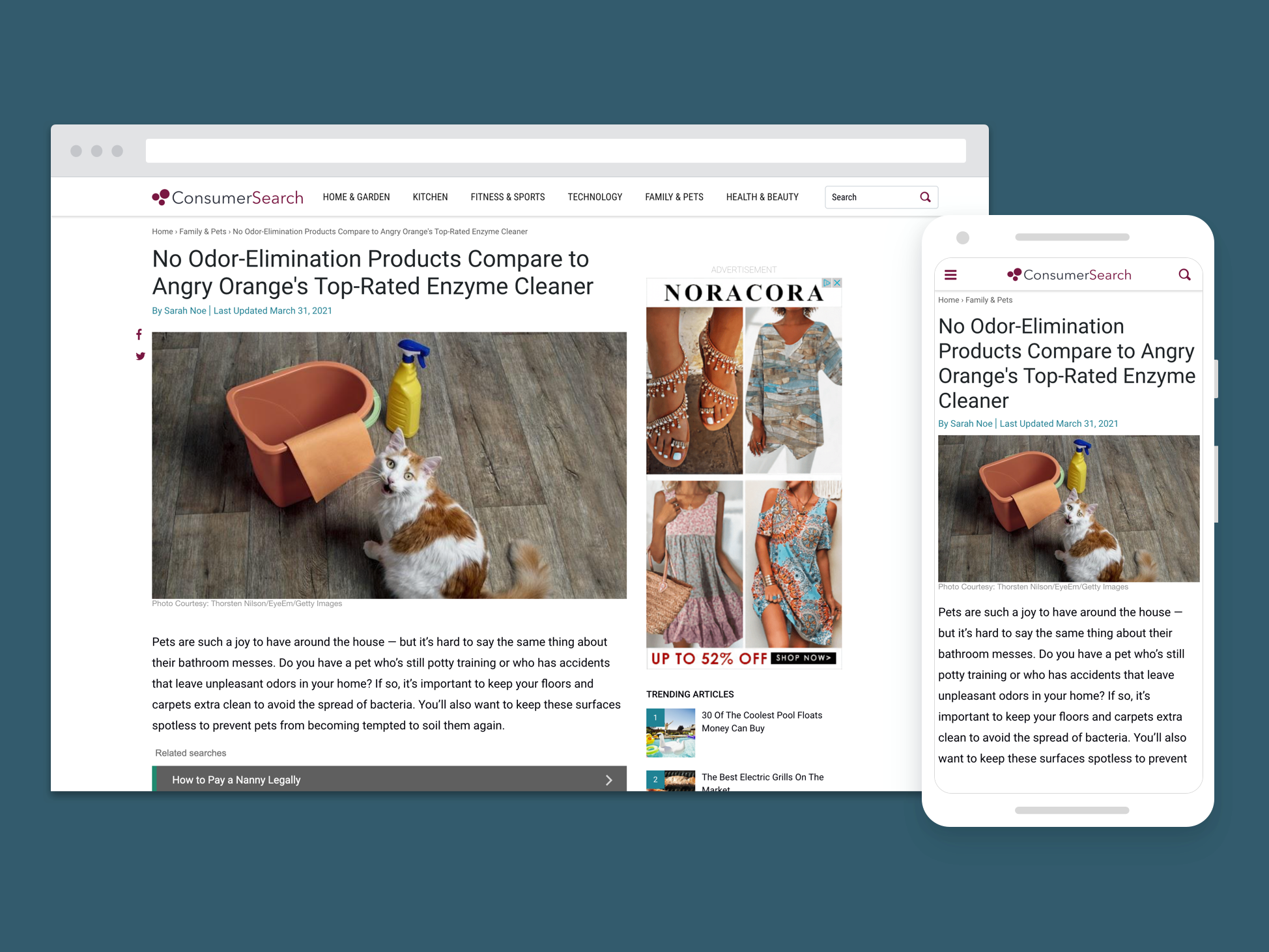 Article