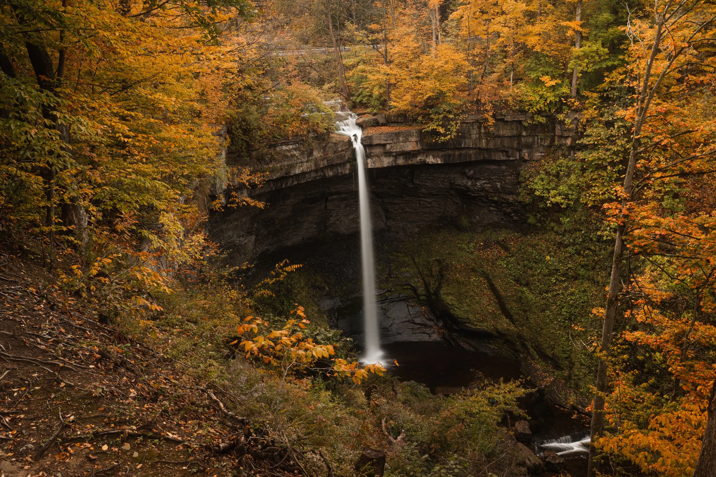 The Magnificent Outdoors in Upstate New York — ROVA