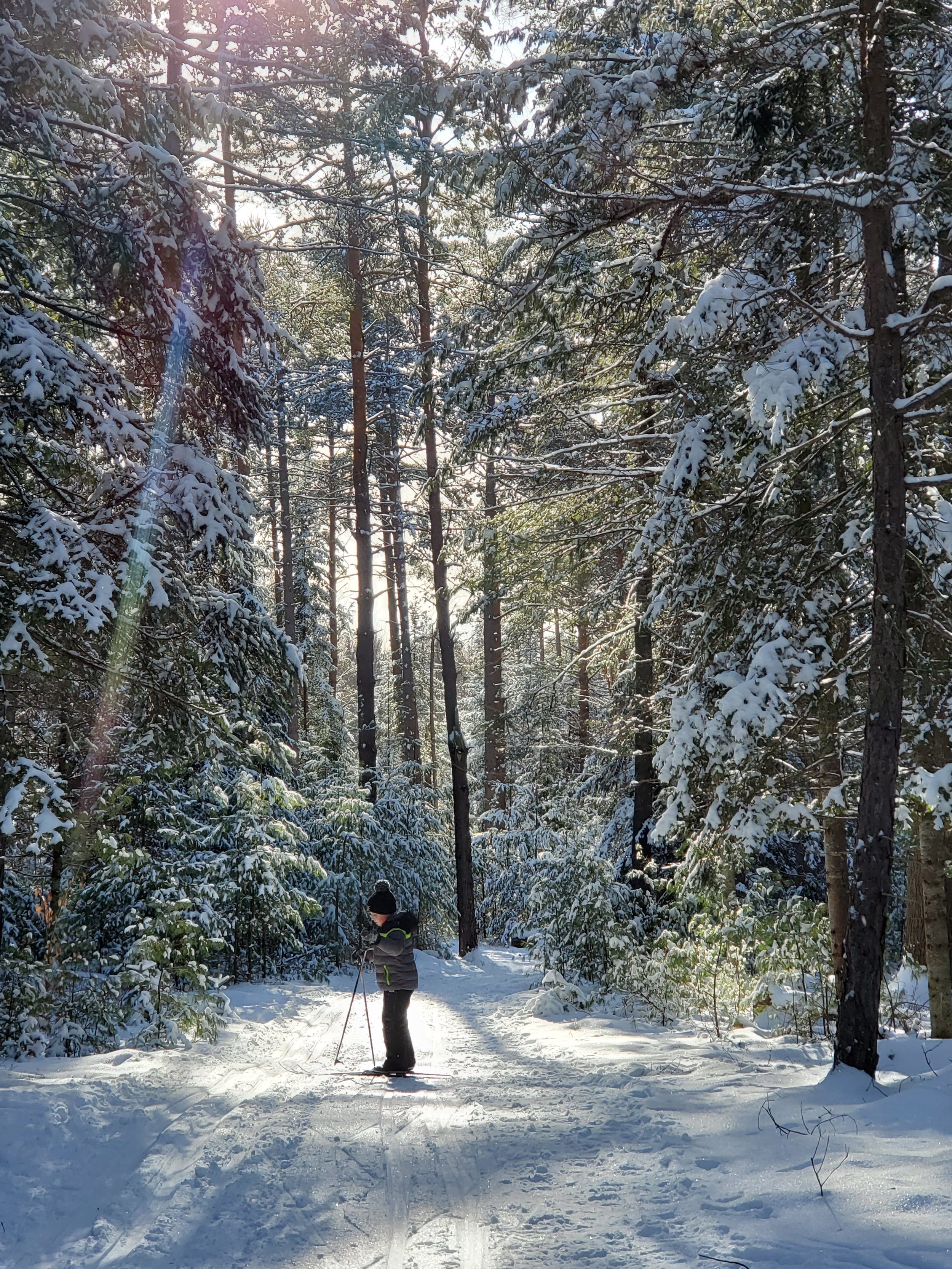 Park Destinations: Nature's Best Getaway