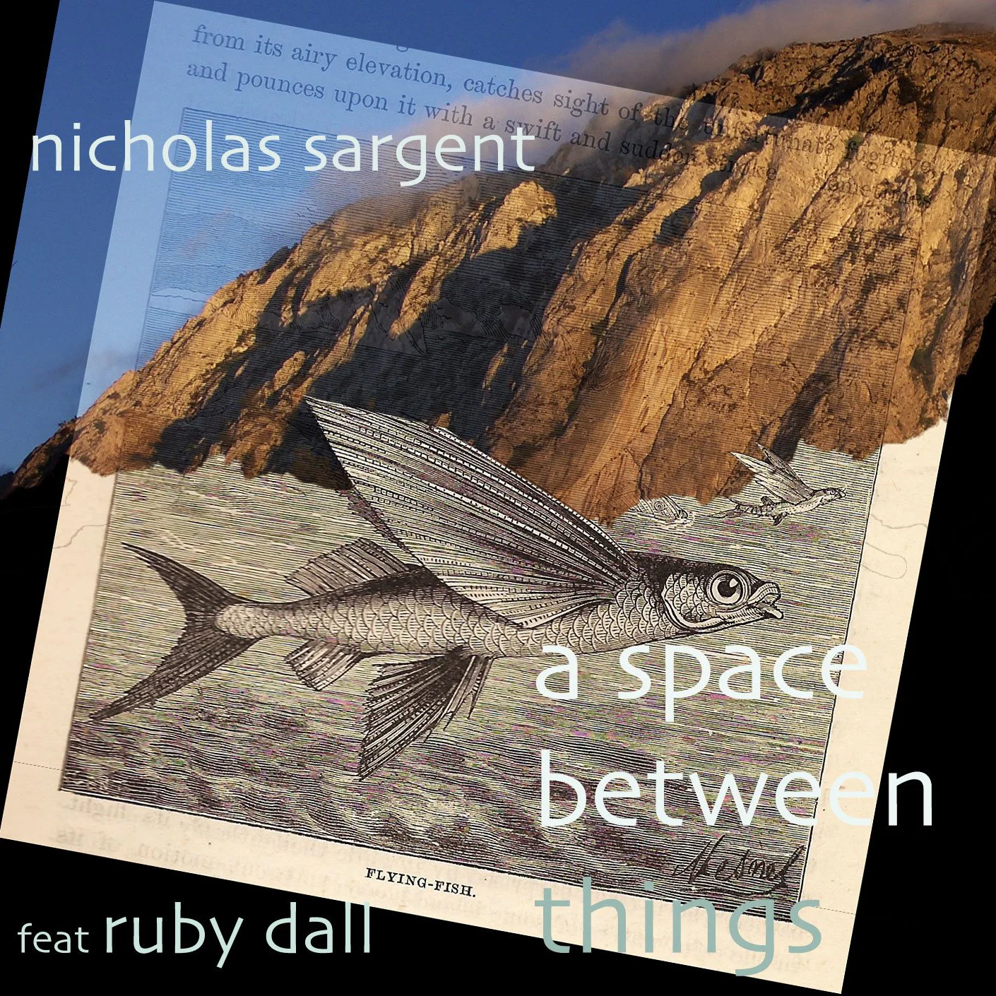 Artist: Nicholas Sargent Title: A Space Between Things Credit: Performer, Additional Mixing Year: 2013