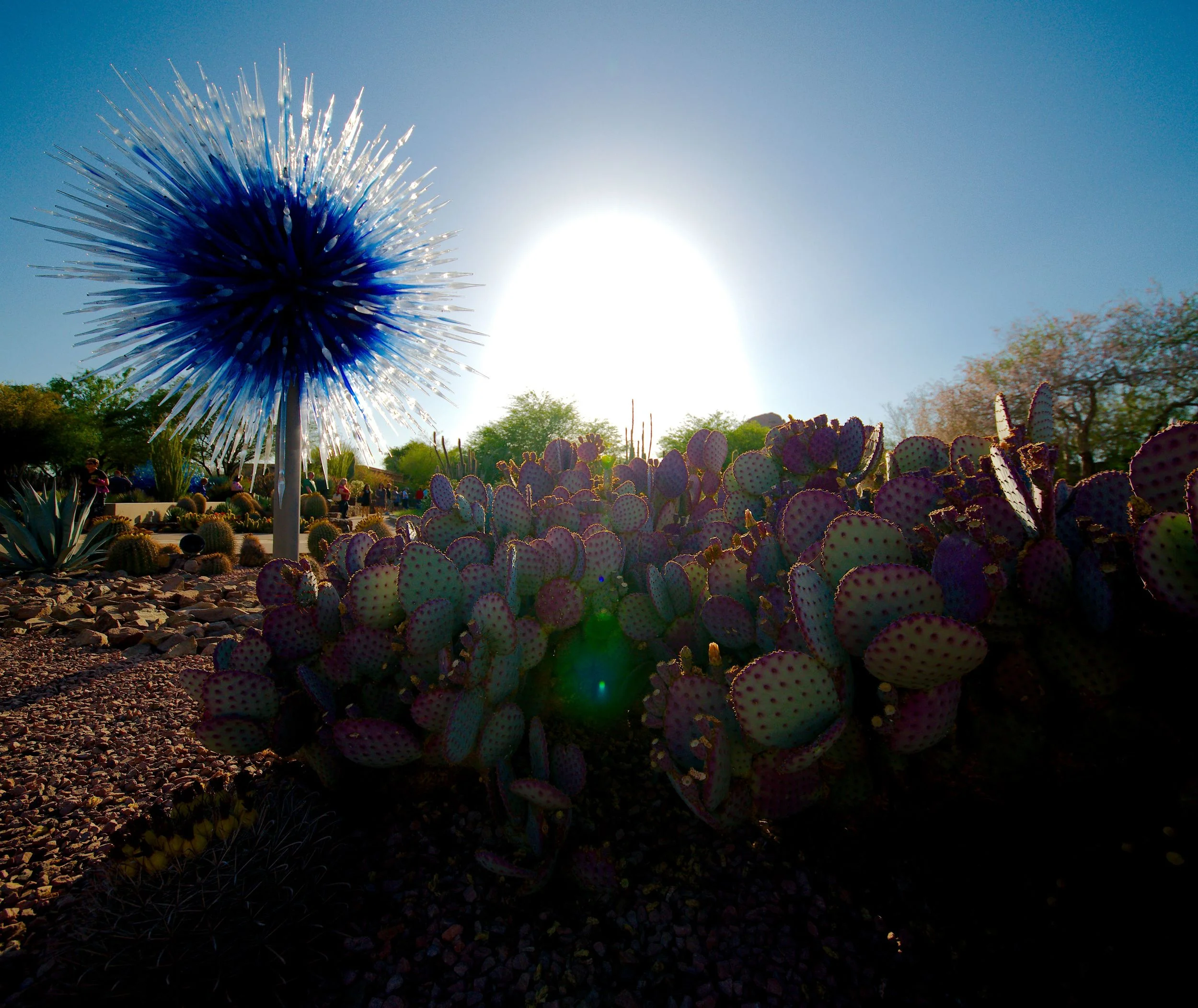 DSC_4400 by Josh More.jpg