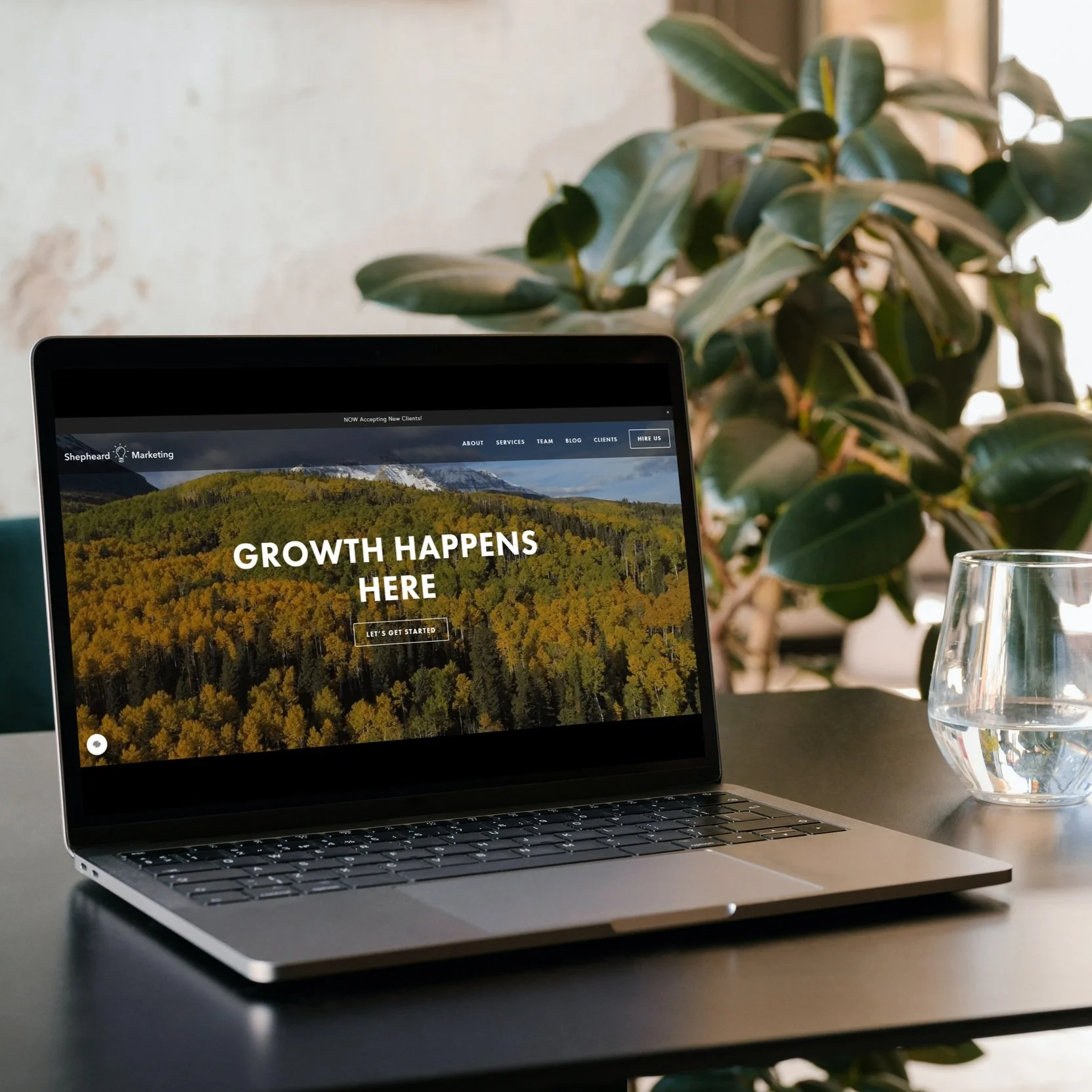 Website/SEO Management