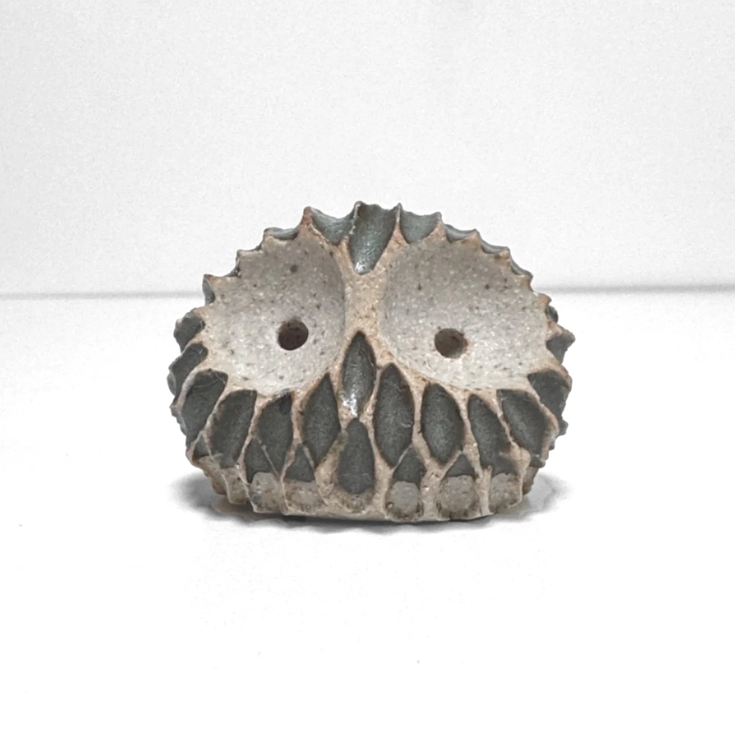 owl 77