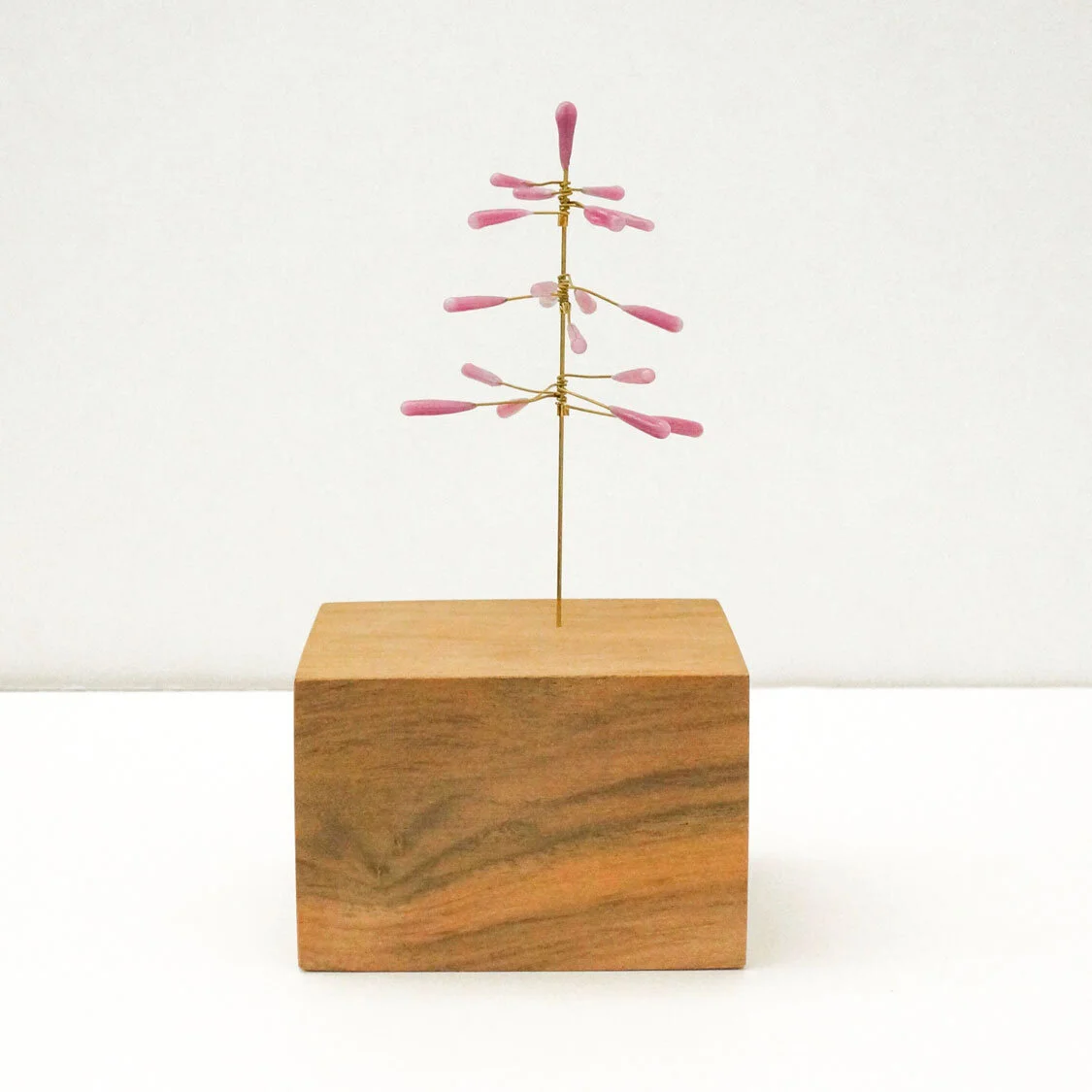 Pine1.jpg